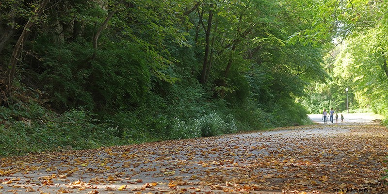 Kansas City s Best Spots for Stunning Fall Foliage