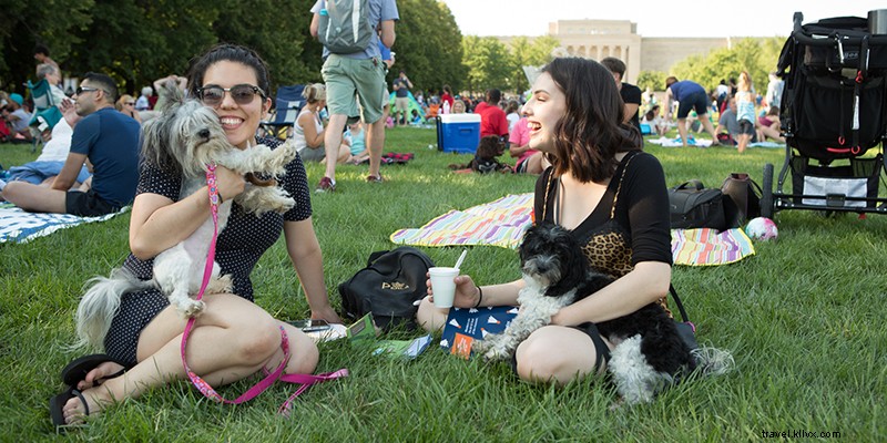 Discover the Best Picnic Spots in Kansas City: Scenic & Family-Friendly Havens