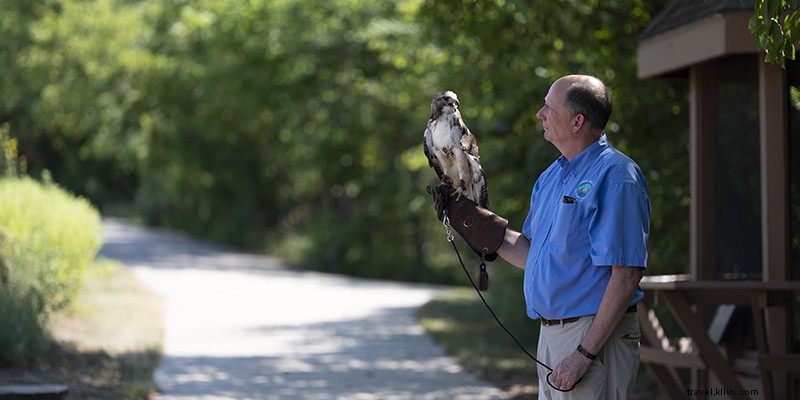 Best Hiking Trails in and Around Kansas City: Your Ultimate Guide
