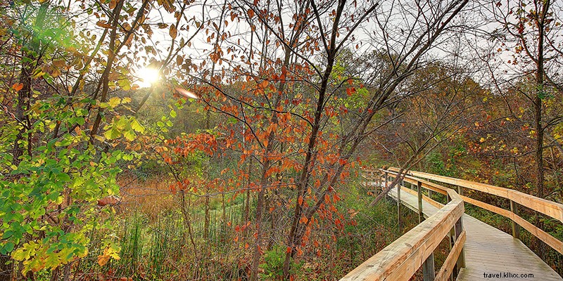 Best Hiking Trails in and Around Kansas City: Your Ultimate Guide