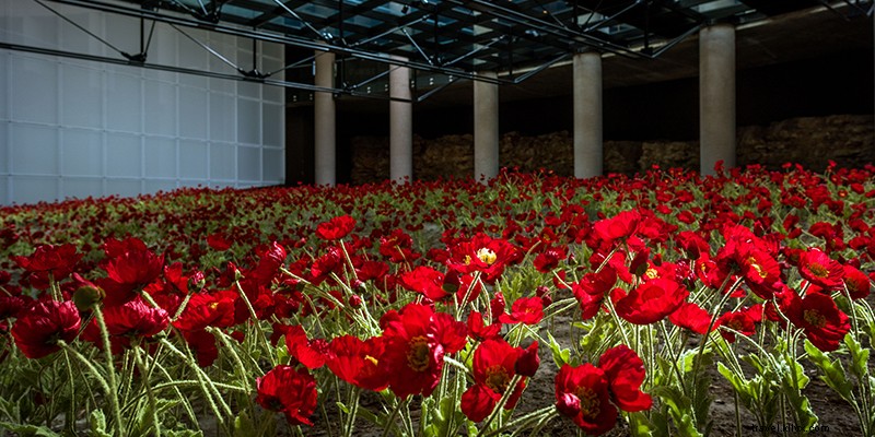 Ultimate Local Guide: Show Off Kansas City to Friends and Family