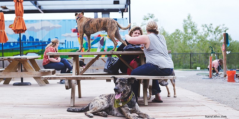 Best Kansas City Spots for Mouthwatering Appetizers