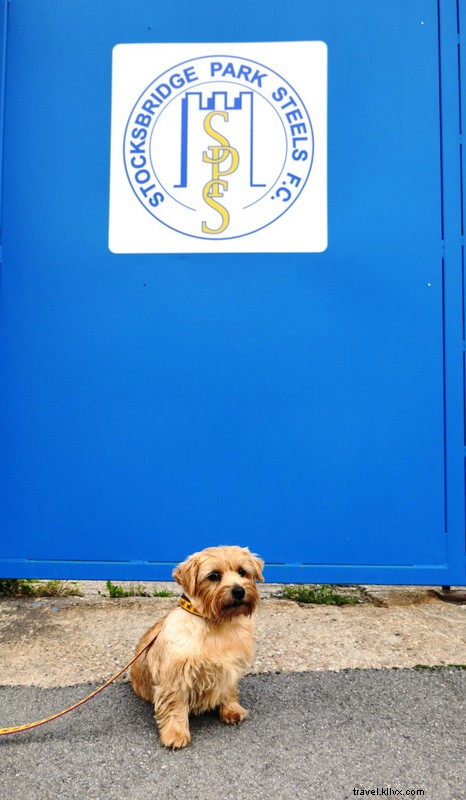 Stocksbridge Park Steels vs Marske United: Match Highlights & Report