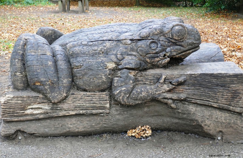 Discover Endcliffe Park, Sheffield: Scenic Beauty and Tranquil Retreat