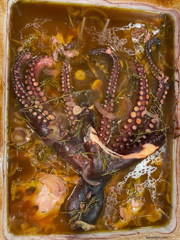 Discover the Fascinating World of the Octopus