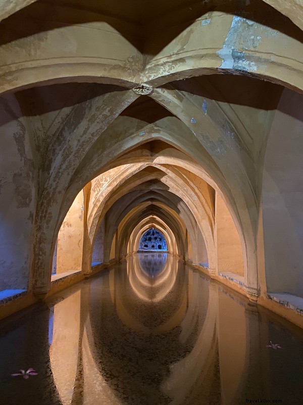 Captivating Reflections in the Granada Alcázar Palace