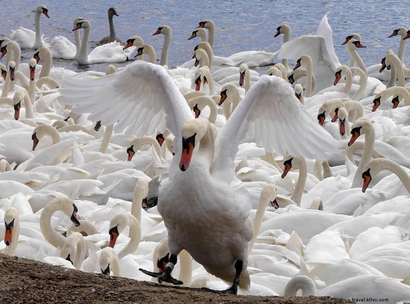 Cambridge: First Stop on Our 2020 Cornwall Adventure (Part 3)