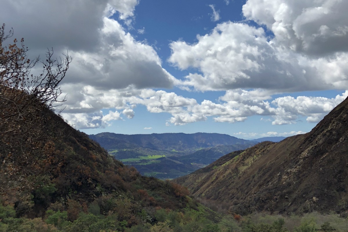 Discover Ojai s Magic: Airstream Glamping, Local Experiences, and Enchanted Valley Vibes