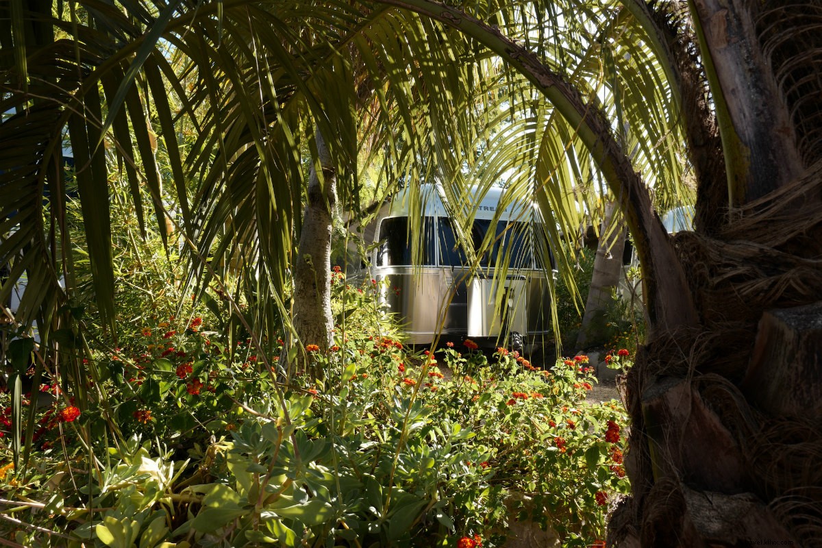 Discover Ojai s Magic: Airstream Glamping, Local Experiences, and Enchanted Valley Vibes