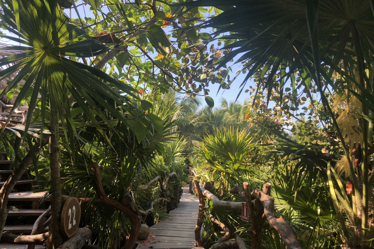 Tulum s Hidden Eco Retreat: Barefoot Serenity and Nature Immersion for Couples