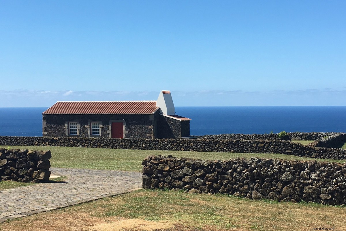 From Bulls to Bunnies: Why the Azores is Your Ultimate Escape Destination