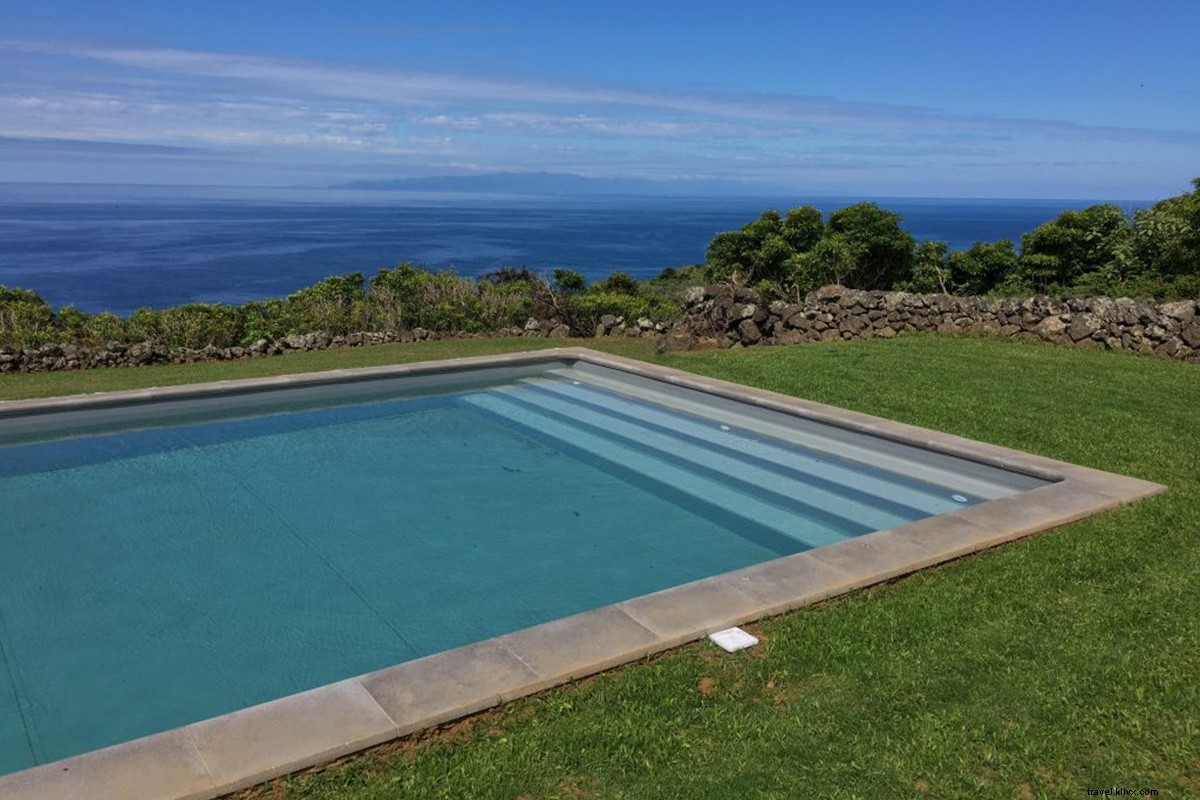 From Bulls to Bunnies: Why the Azores is Your Ultimate Escape Destination