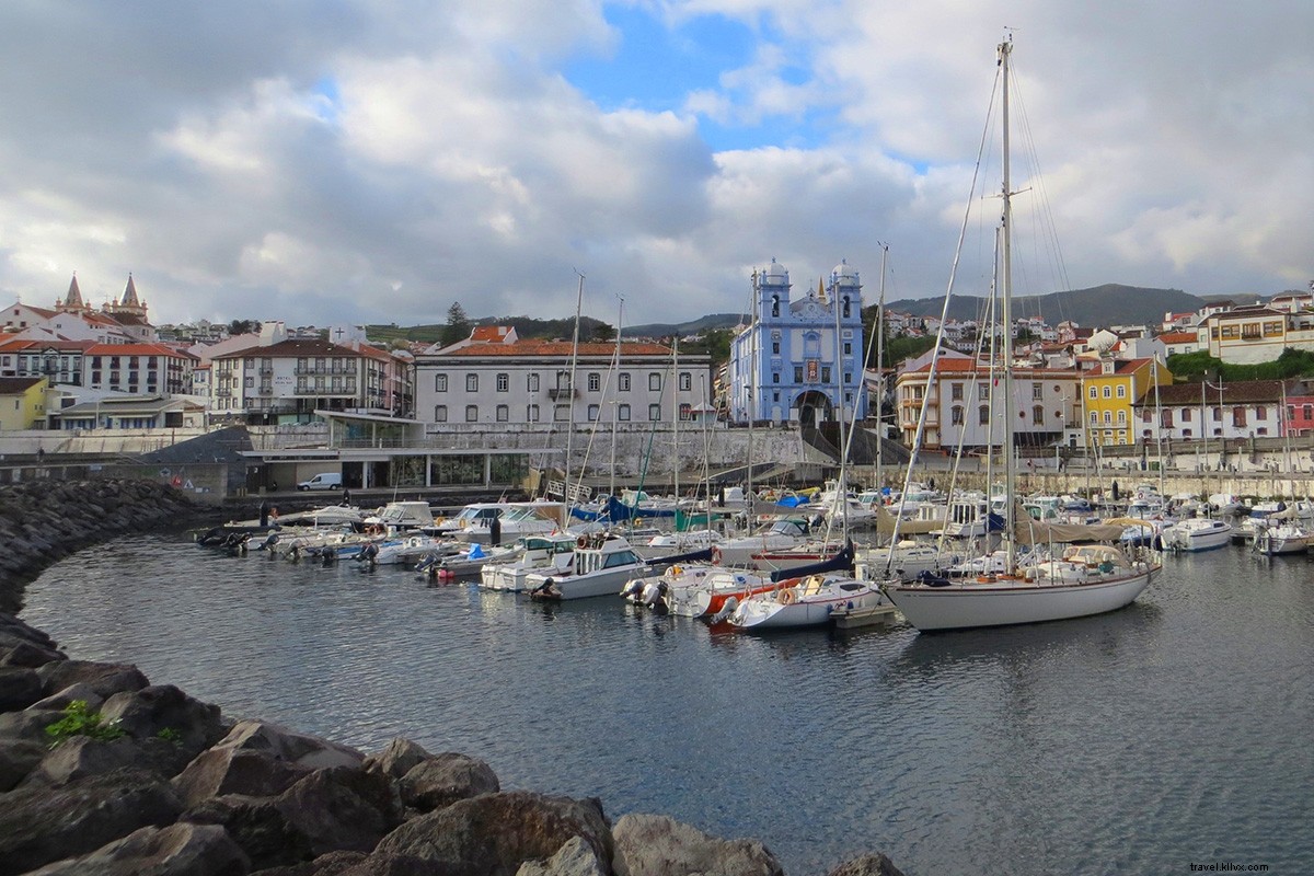 From Bulls to Bunnies: Why the Azores is Your Ultimate Escape Destination