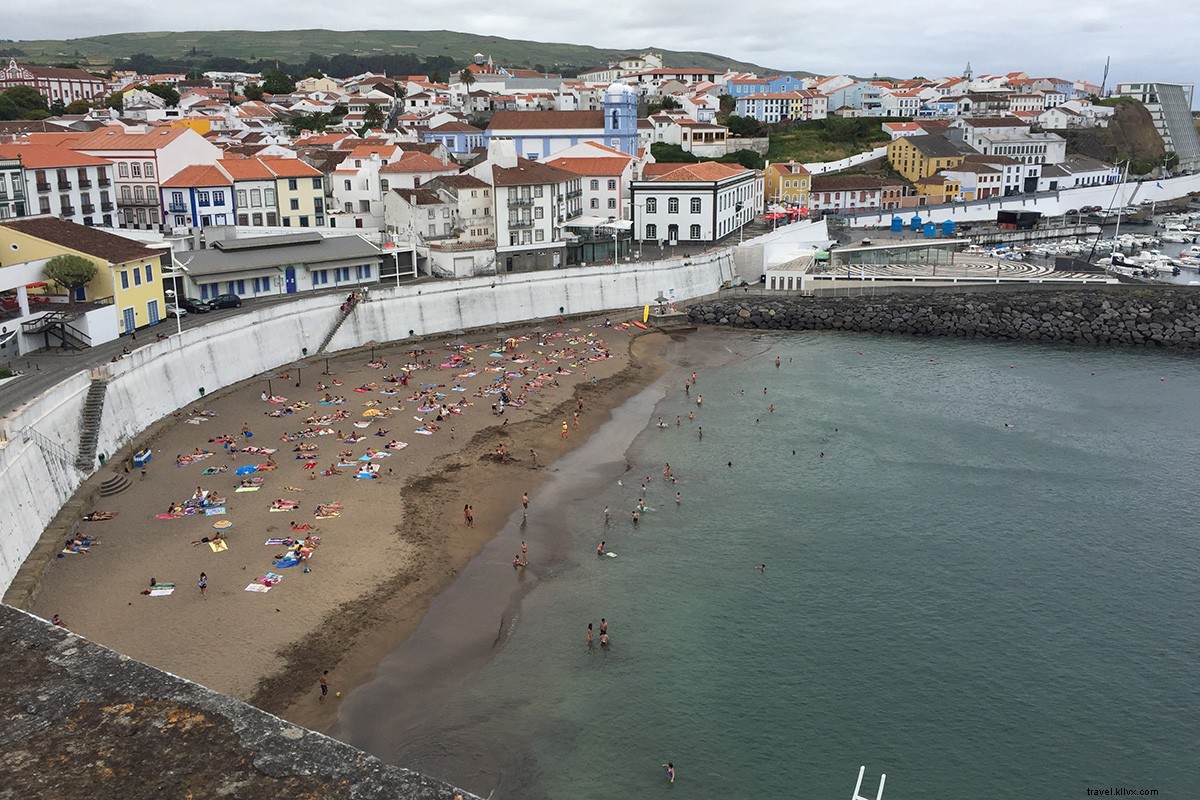 From Bulls to Bunnies: Why the Azores is Your Ultimate Escape Destination