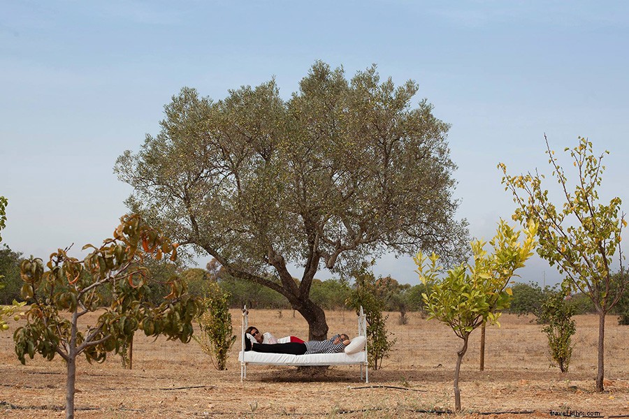 JO&SO: The Essential Curated Guide to Portugal s Best Stays and Excursions