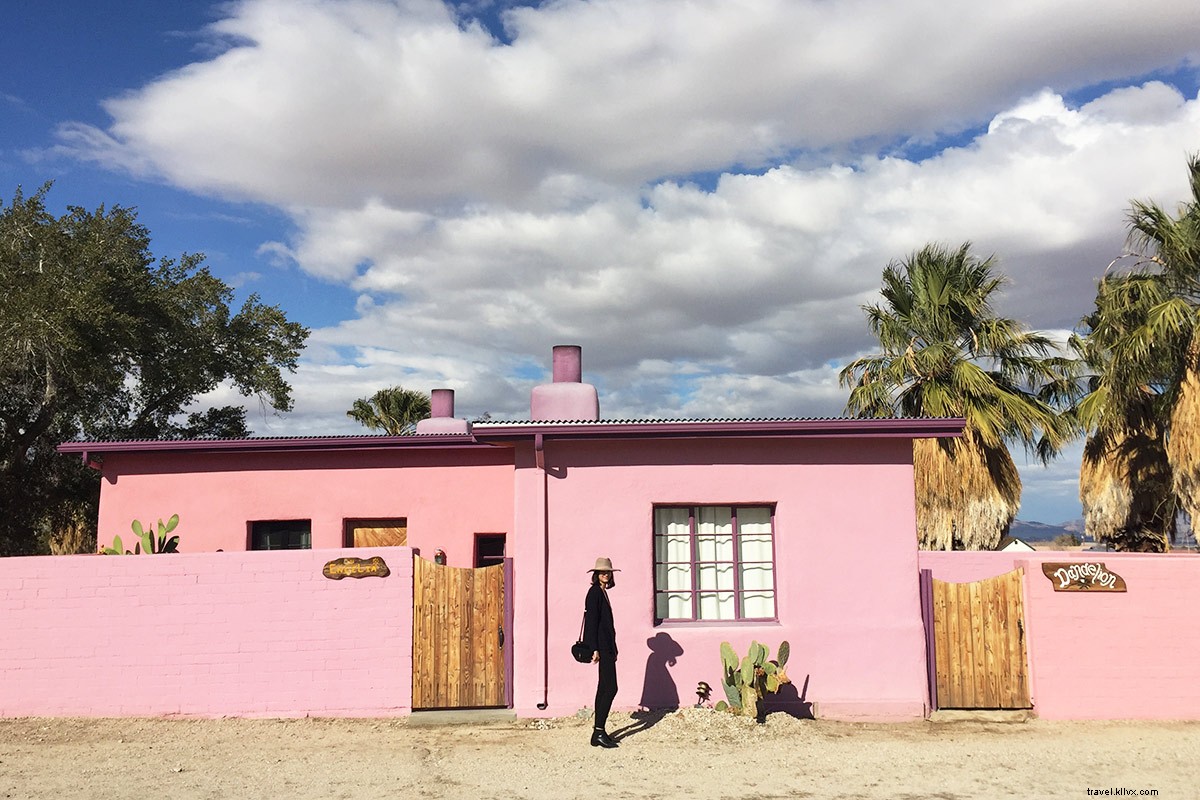 Joshua Tree Escape: Entrepreneur Nicole Najafi s Month of Desert Sunshine and Solitude