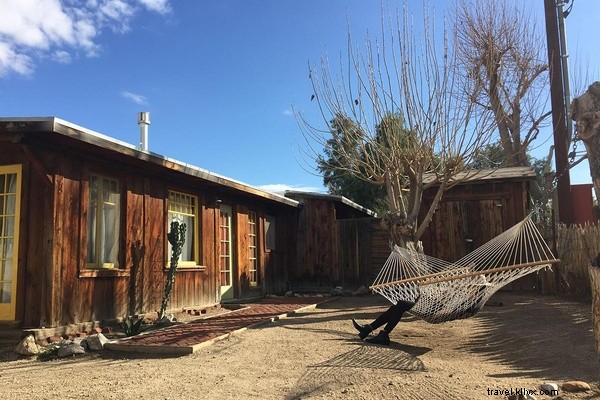 Joshua Tree Escape: Entrepreneur Nicole Najafi s Month of Desert Sunshine and Solitude