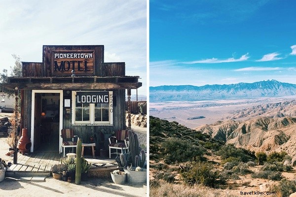 Joshua Tree Escape: Entrepreneur Nicole Najafi s Month of Desert Sunshine and Solitude