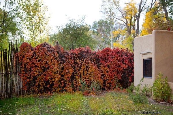 Palacio de Marquesa: The Coziest Adobe Bed & Breakfast in Taos, New Mexico