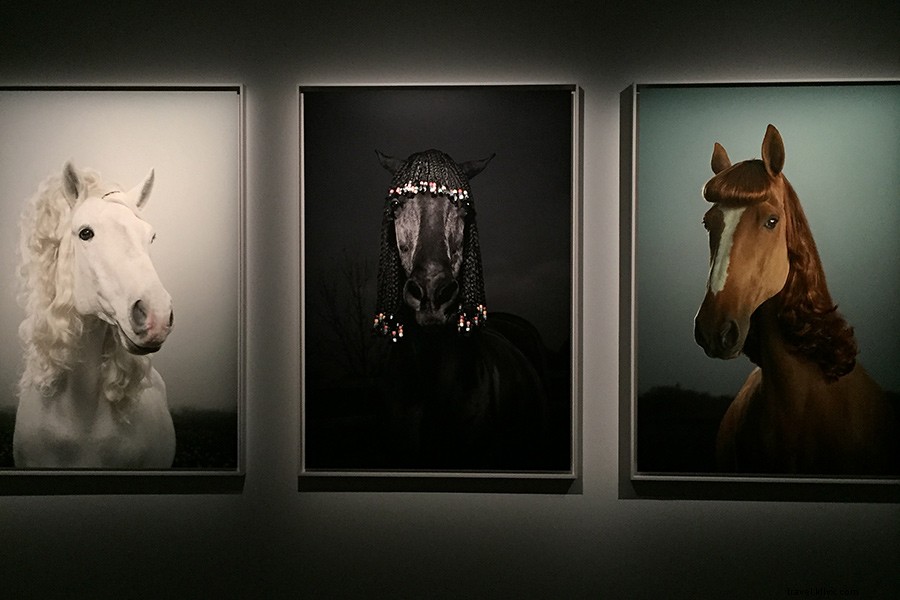 Ett Hem: Stockholm s Premier Boutique Hotel – Your Luxurious Home Away from Home