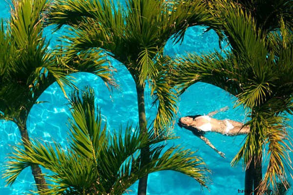 It s Not Too Late: Create Last-Minute Summer Memories with Marriott