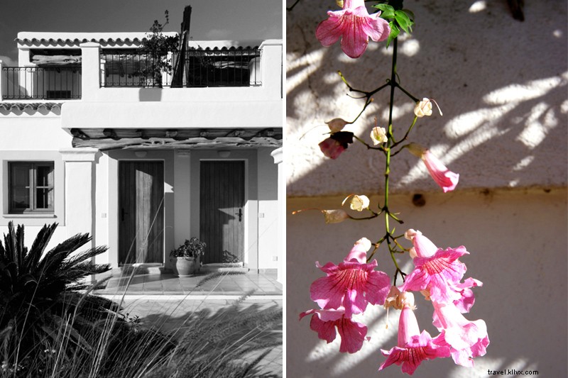 Ibiza Beyond the Parties: Unveiling the Island s Spiritual Essence