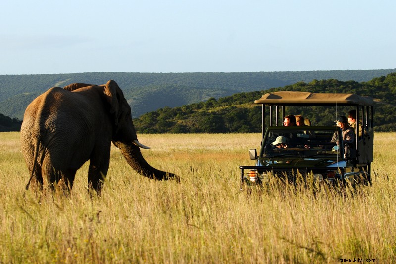 Bruce Bromberg Debrief: South Africa Adventures from Blue Ribbon Co-Founder