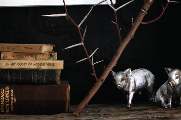 Cape Town Uncovered: Ultimate Guide for Foodies, Families & Adventure Seekers