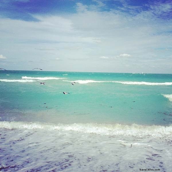 Fontainebleau Miami Beach: Luxury Sun Escape for New York Snowbirds