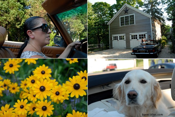 Sylvia Hommert s Perfect Saturday on Shelter Island: A Local Artist s Guide