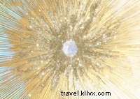 Sylvia Hommert s Perfect Saturday on Shelter Island: A Local Artist s Guide