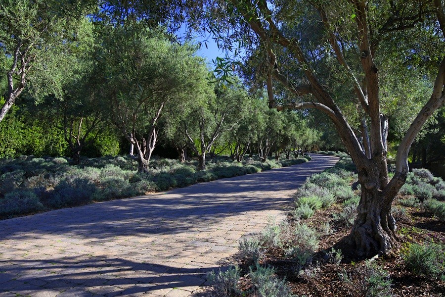 San Ysidro Ranch: Historic Hollywood Haven in Montecito, California