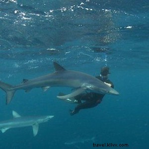 Nantucket Mini Getaway: Essential Quick Hit List for Massachusetts