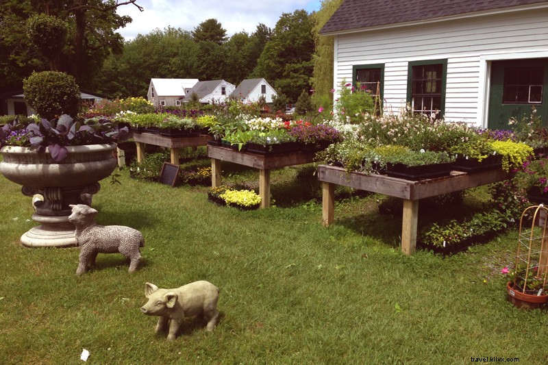 Kennebunk, Maine: Ultimate Quick Getaway Guide to Sunsets, Lobster & Beach Stays