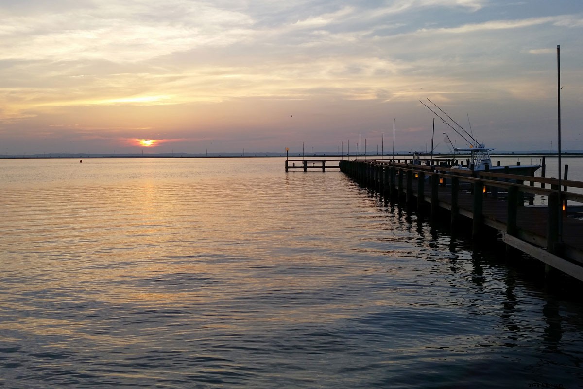 Discover Chincoteague Island: Wild Ponies, Serene Beaches & East Coast Escape