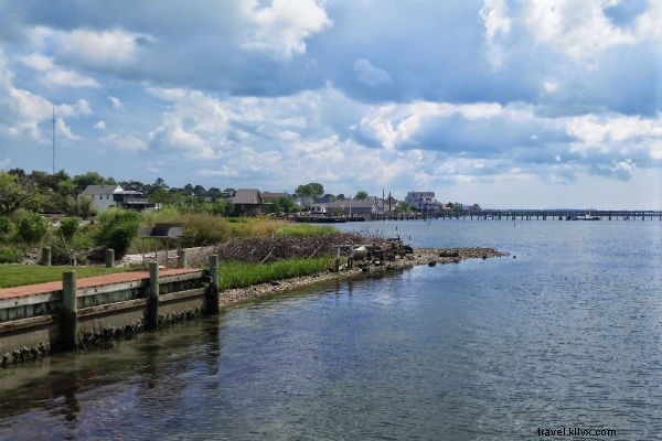 Discover Chincoteague Island: Wild Ponies, Serene Beaches & East Coast Escape