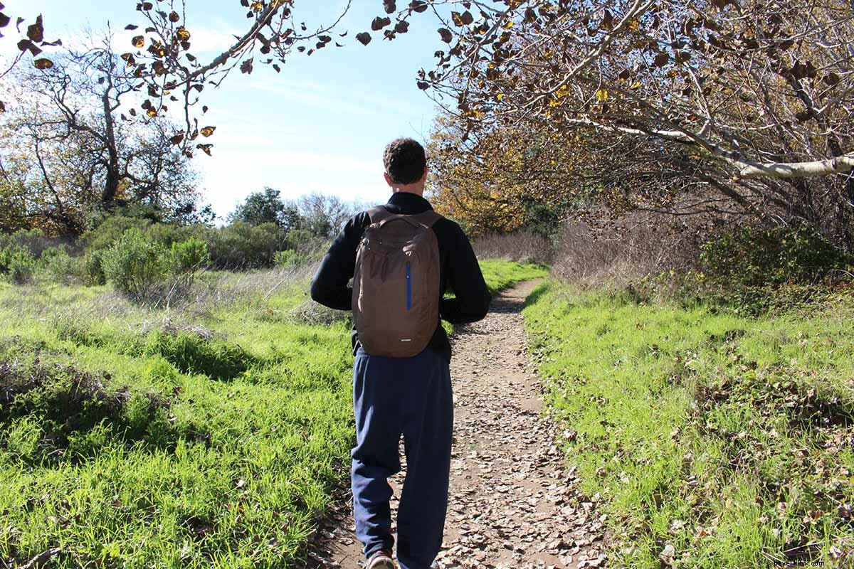 Big Sur: An Enchanting Otherworldly Escape on California s Central Coast
