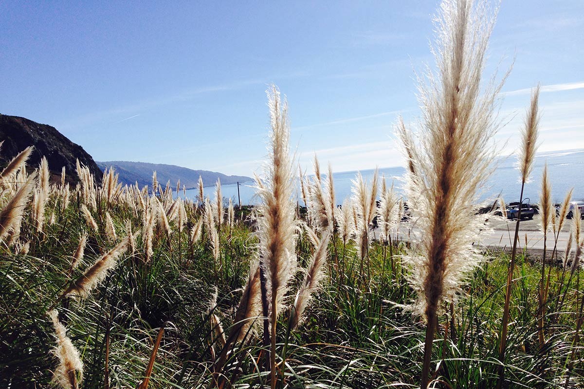 Big Sur: An Enchanting Otherworldly Escape on California s Central Coast