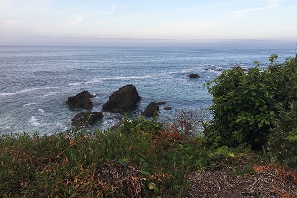 Laguna Beach: A Revitalized Historic Gem on California s Southern Coast