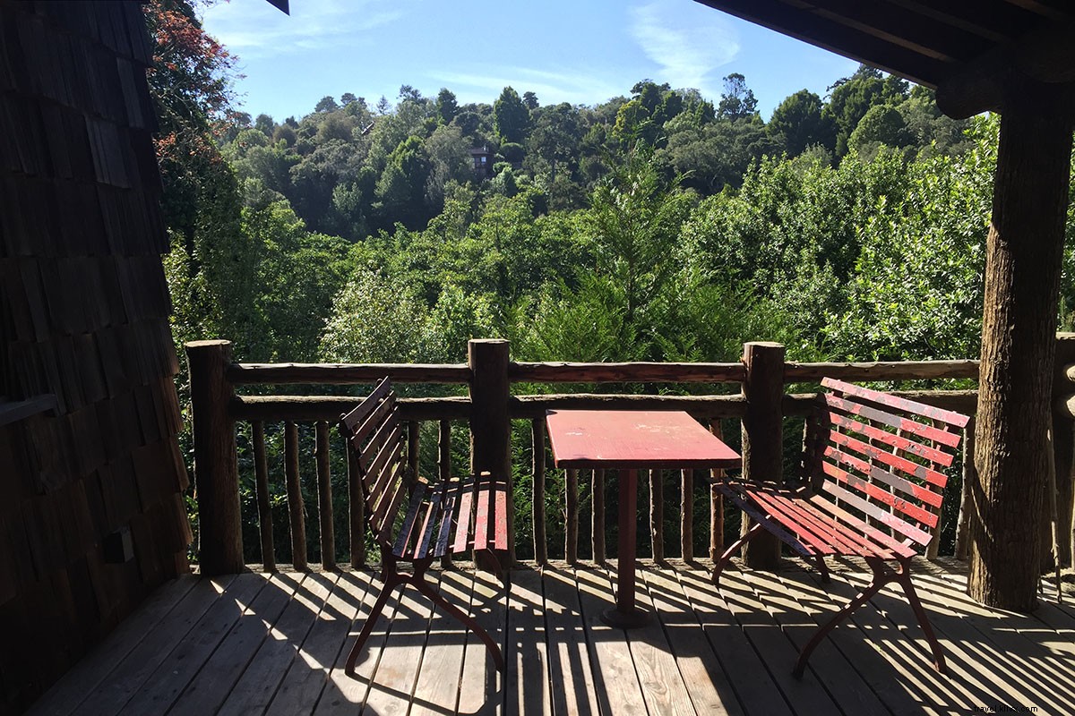 Why One Day Isn t Enough: Exploring Point Reyes, California