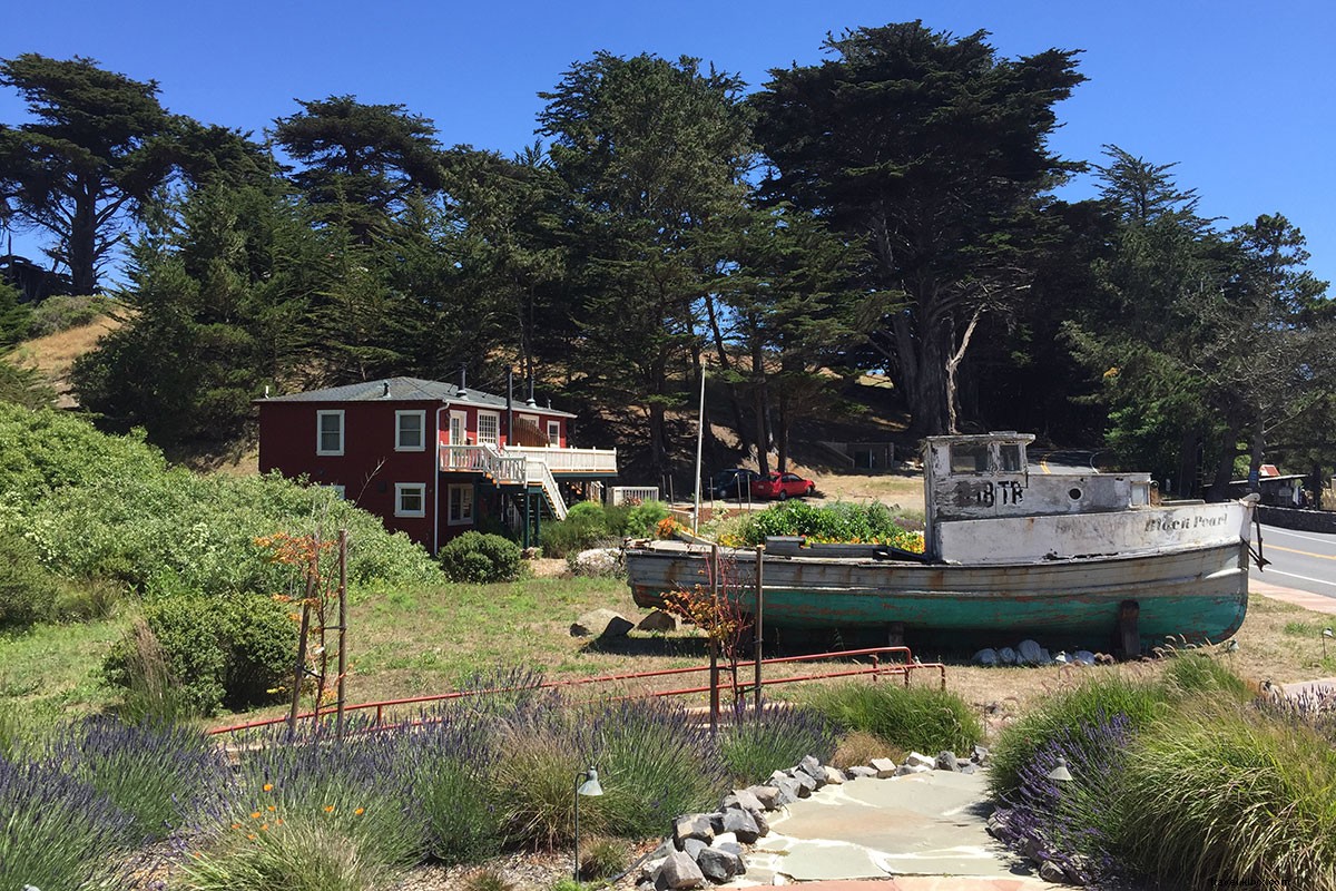 Why One Day Isn t Enough: Exploring Point Reyes, California