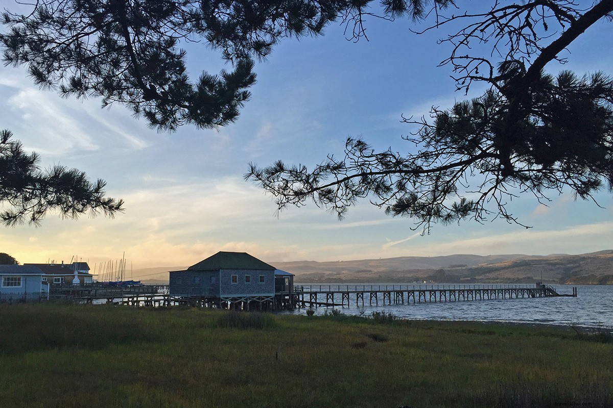 Why One Day Isn t Enough: Exploring Point Reyes, California