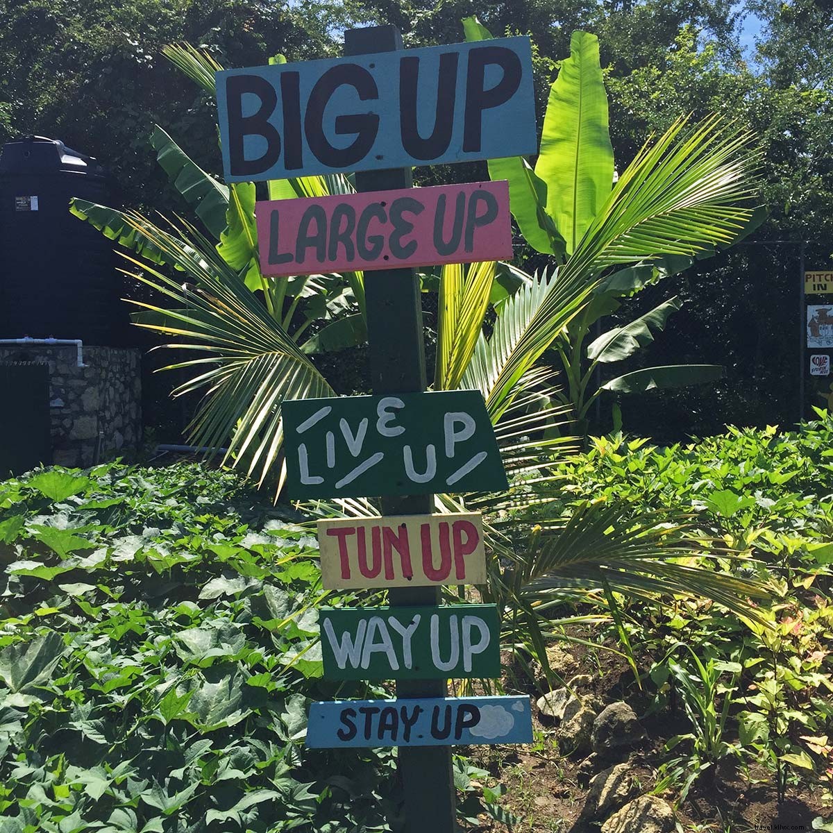 Everything s Irie at Rockhouse: Jamaica s Premier Boho Hotel in Negril