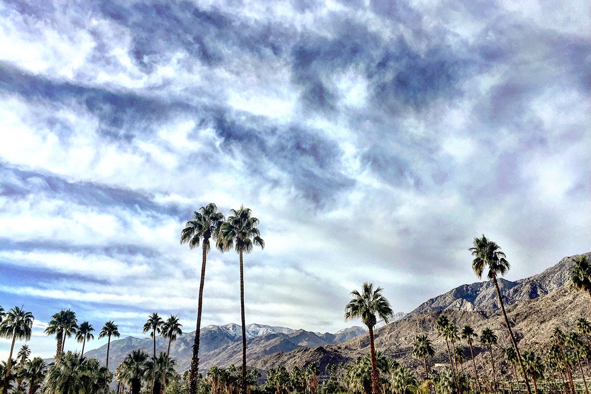 JetBlue Redeye: Direct Flights from NYC to Palm Springs – Ultimate Desert Getaway