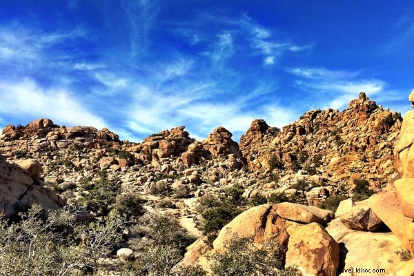 JetBlue Redeye: Direct Flights from NYC to Palm Springs – Ultimate Desert Getaway