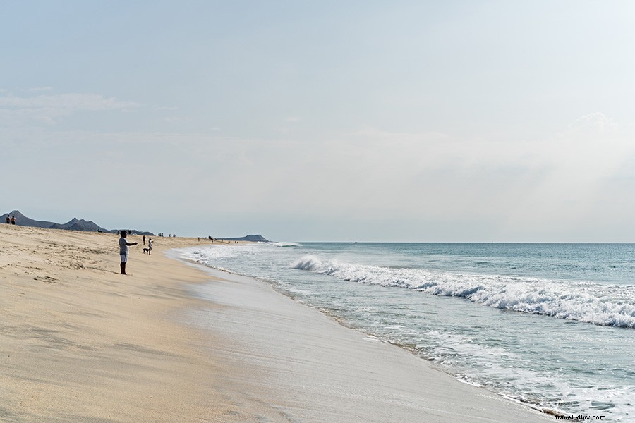 San José del Cabo Reborn: Why Baja s Beach Gem Is Better Than Ever