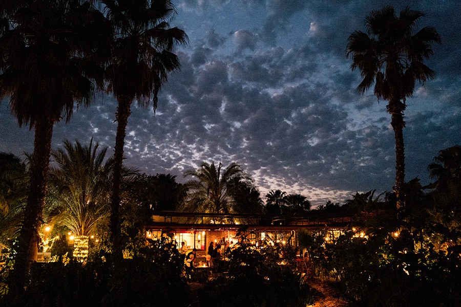 San José del Cabo Reborn: Why Baja s Beach Gem Is Better Than Ever