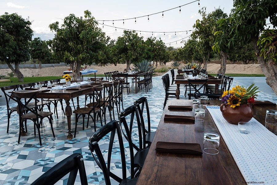 San José del Cabo Reborn: Why Baja s Beach Gem Is Better Than Ever