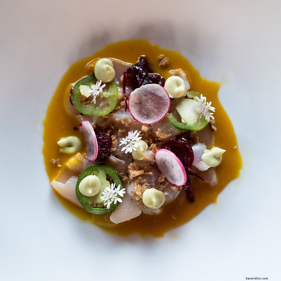 San José del Cabo Reborn: Why Baja s Beach Gem Is Better Than Ever