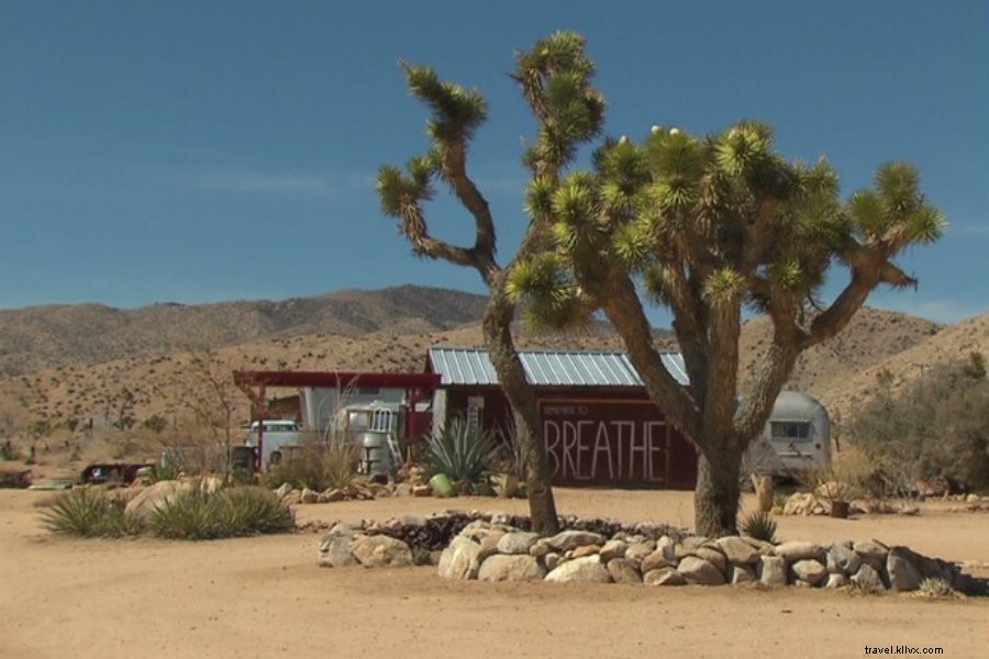 Best Stylish Airbnbs in Joshua Tree: Top Unique Cabins, Ranches & Airstreams